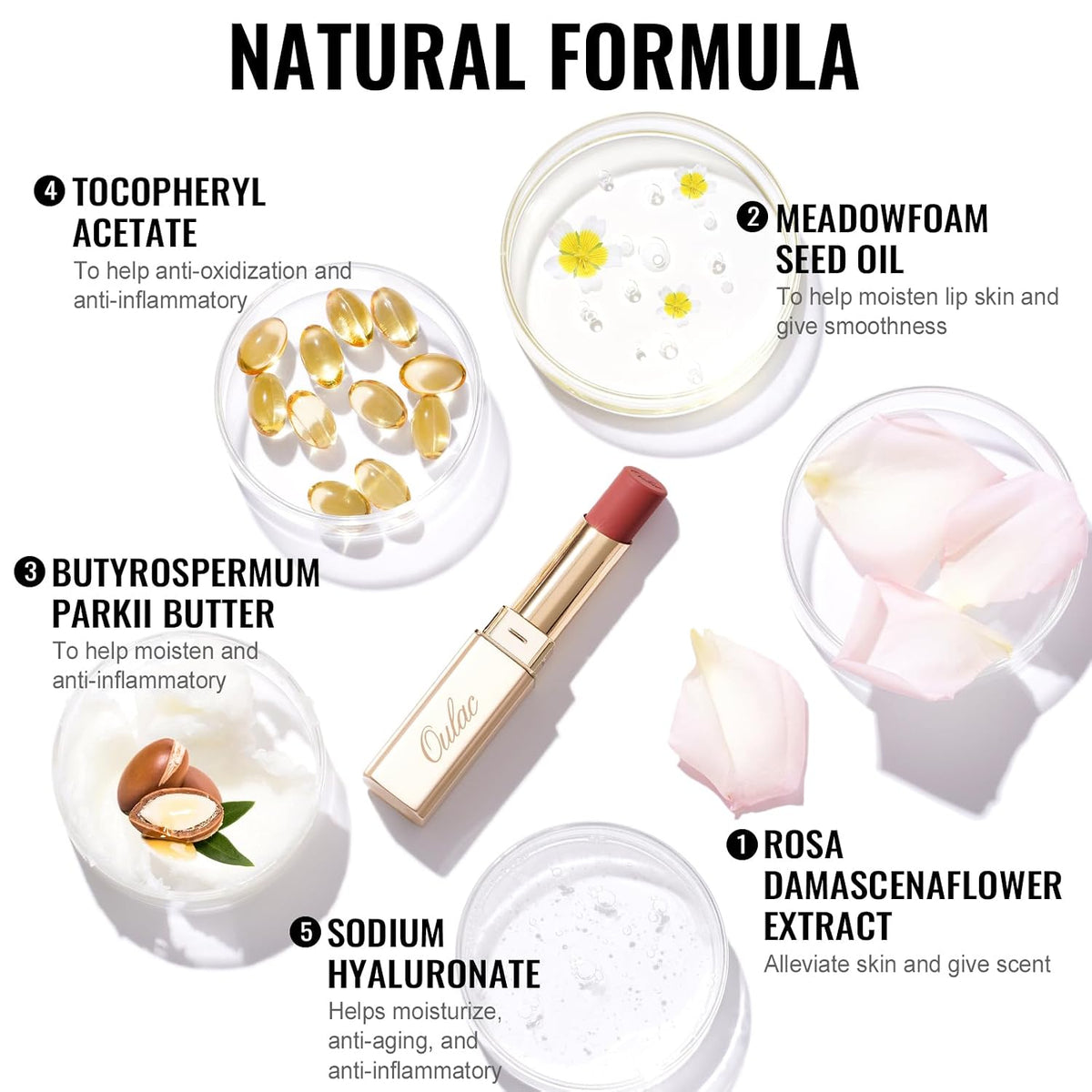 Oulac Red Matte Lipsticks for Women, Silky Velvet Matte Lipstick, Terracotta High Impact Lip Color, Soft Smooth Texture, Not Dry Lightweight Formula Infused with Vitamin E, RM06