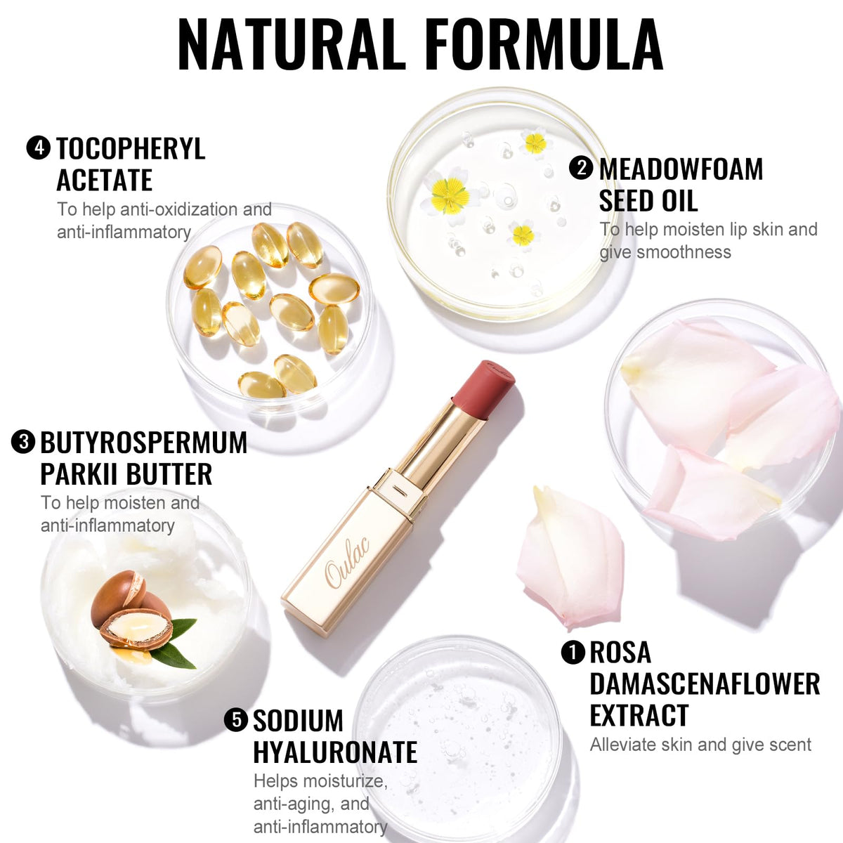 Oulac Red Matte Lipsticks for Women, Silky Velvet Matte Lipstick, Terracotta High Impact Lip Color, Soft Smooth Texture, Not Dry Lightweight Formula Infused with Vitamin E, RM06