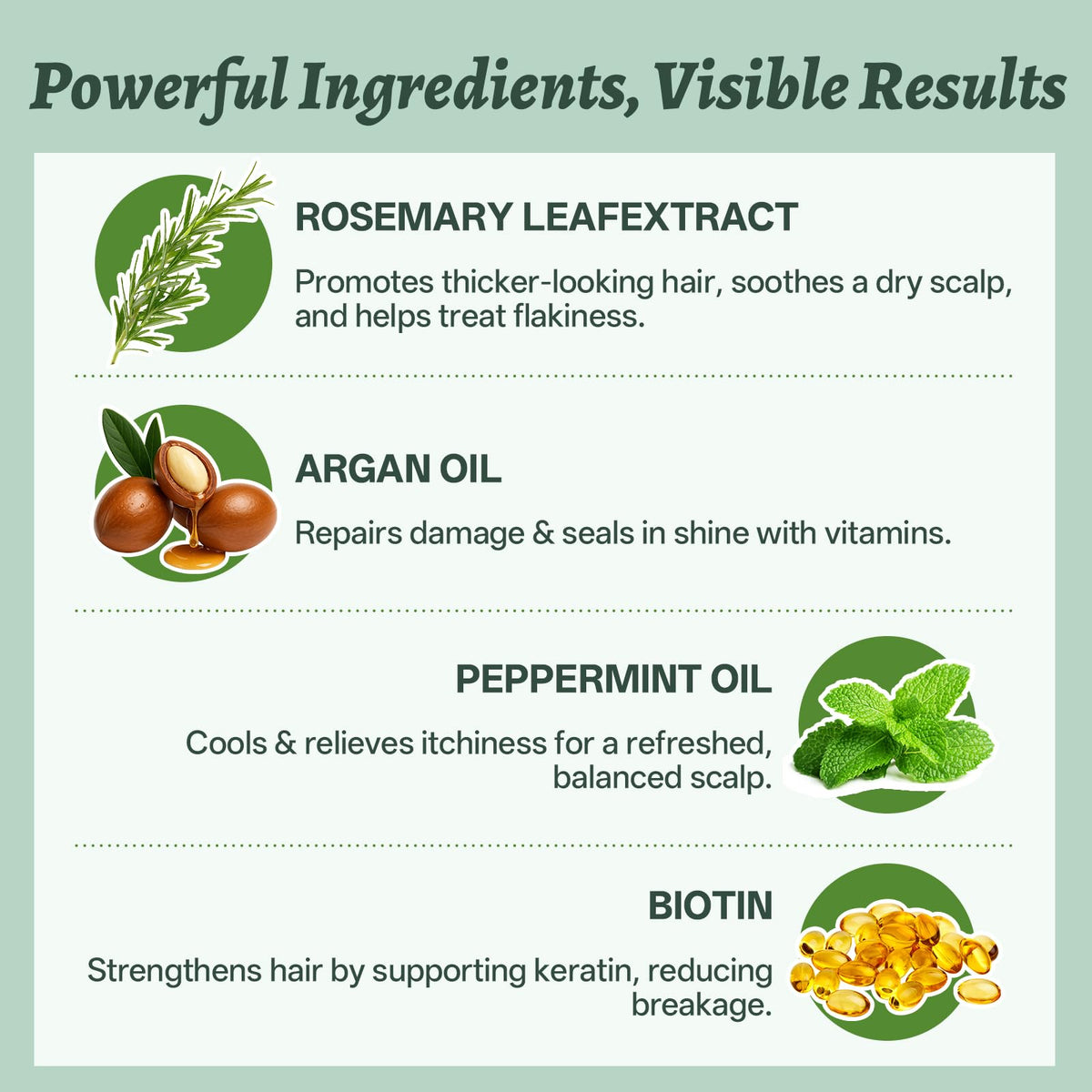 Luseta Rosemary Mint Shampoo and Conditioner Set for Hair Strengthening