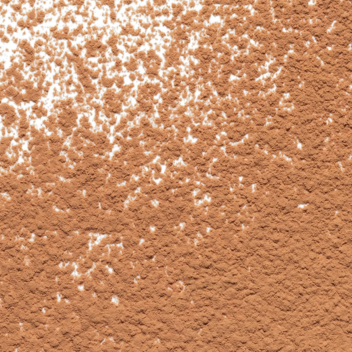Estée Lauder Double Wear Sheer Flattery Loose Setting Powder | Lightweight & Oil-Free
