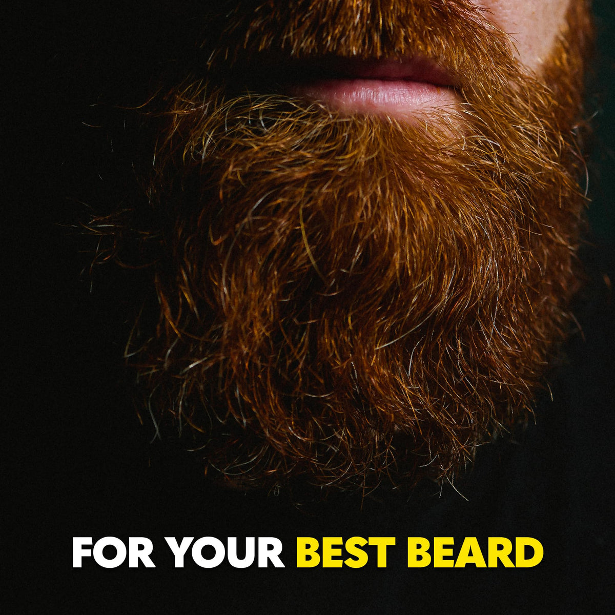 The Beard Club Premium Beard Kit for Men - Grooming & Care Kit - Cedar & Sandalwood Oil, Sandalwood Balm, Shampoo, Brush, Comb, Trimming Scissors, Straight Edge Razor - Gift Set