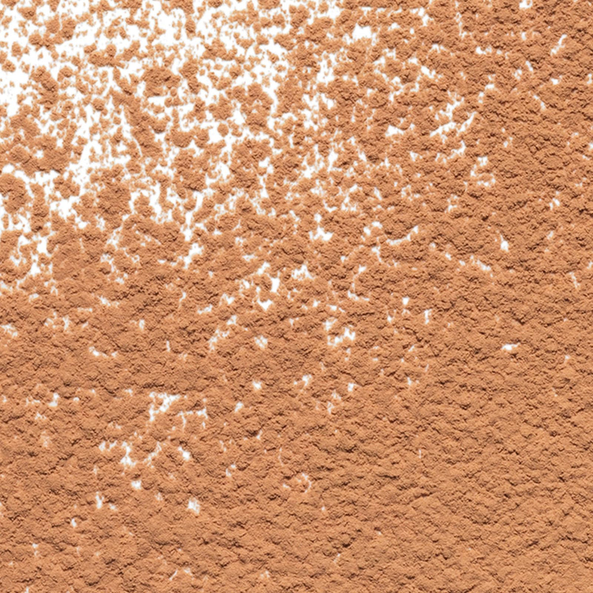 Estée Lauder Double Wear Sheer Flattery Loose Setting Powder | Lightweight & Oil-Free