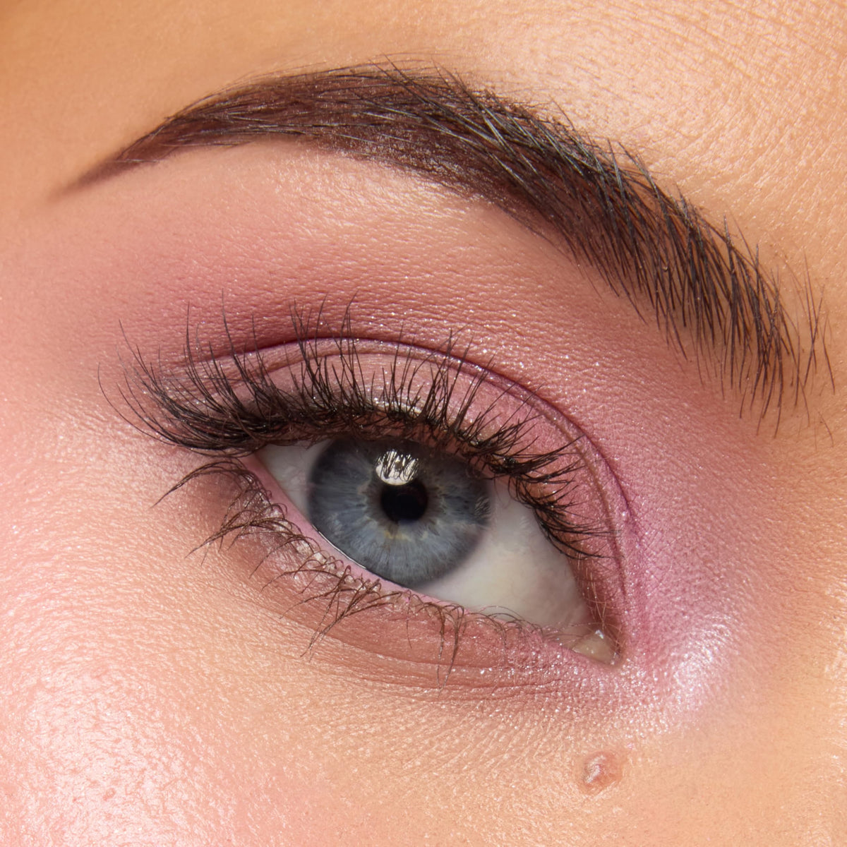 ColourPop Nude Mood Eyeshadow Palette - Brown & Copper Palette with Metallic and Matte Finishes - High-Pigment Eye Makeup with a Long-Wearing Formula (0.3 oz)